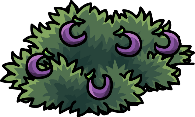 File:O'berry Bush In-Game 5.png