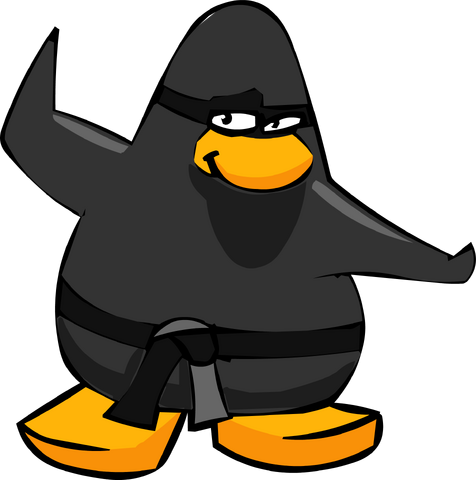 File:Ninja Old Header.png