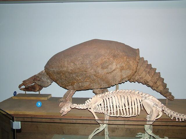 File:DSCF1756.jpg