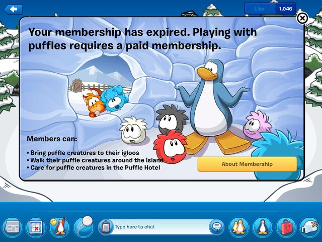 File:App Puffles Paid Member.jpg