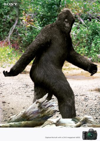 File:Bigfoot-tastic!.jpg