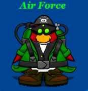 File:Airforcemembernugget.png