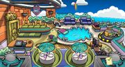 Pufflepool