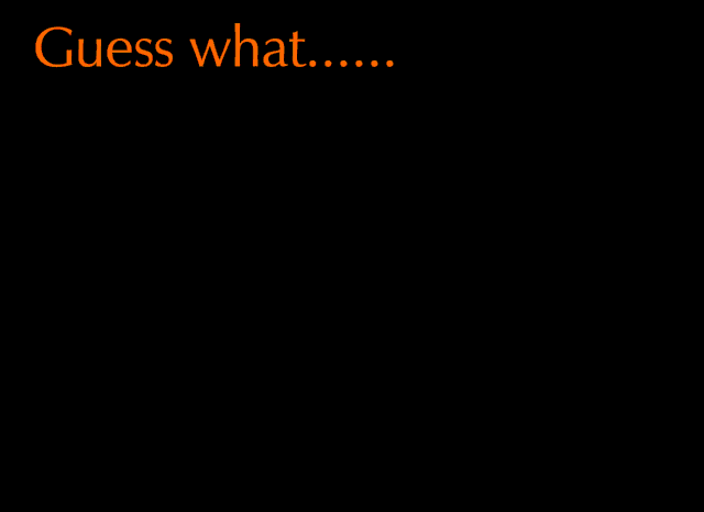 File:YAYZ.gif
