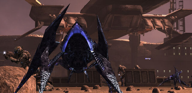 File:Shrike attack.jpg
