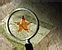 ZH Satellite Hack 1 Icons