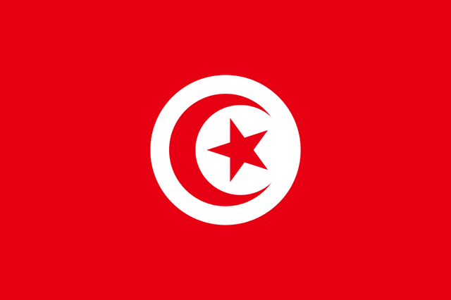 File:Flag of Tunisia.svg.png