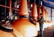 Renewable Whiskey