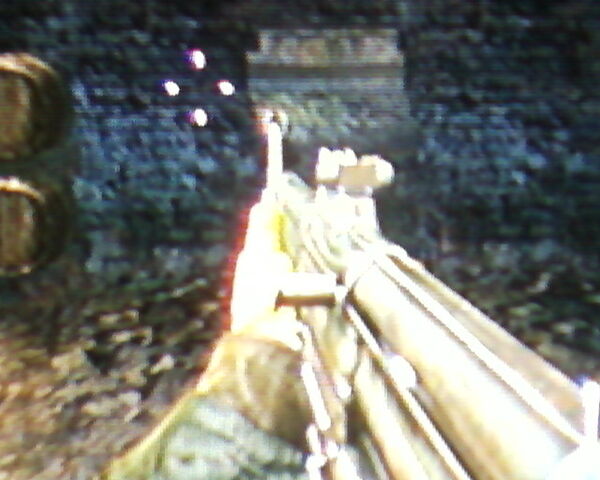 Archivo:MP44 COD 3.jpg