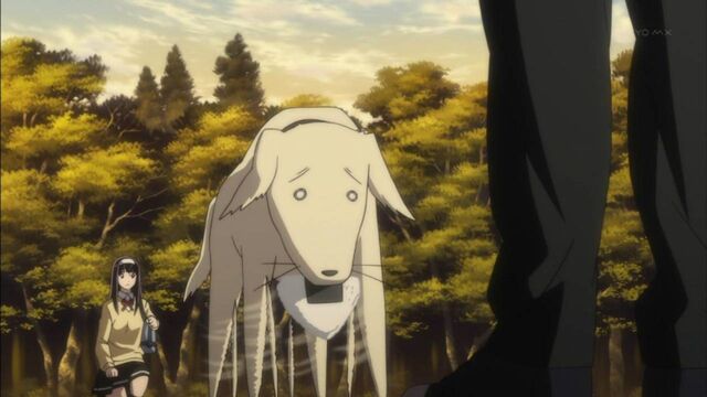 Fichier:Chienne approche.jpg