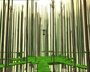 Forest replyka
