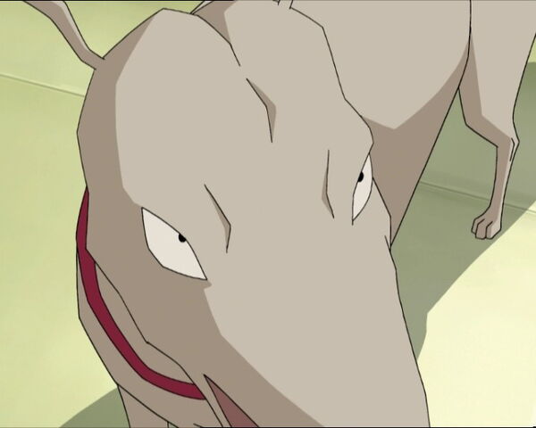 File:Desincarnation 129.jpg