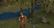 Lumbridge Musician.png