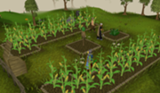 180px-Farminghighdetail.png