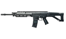 ACW-R Red dawn weapons