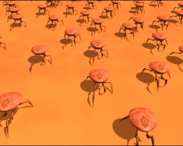 Ficheiro:Moitoscangrexos.jpg