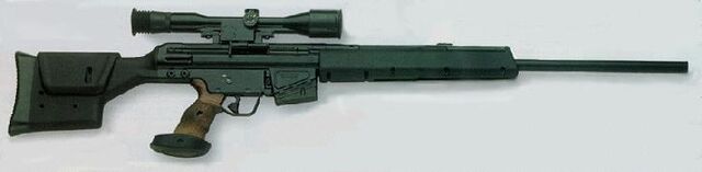 File:HK PSG1.jpg
