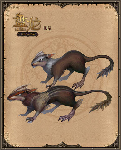File:Rats.jpg