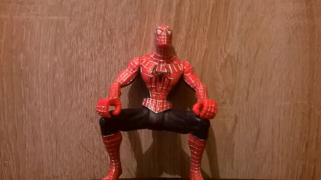 Plik:Spiderjunior.jpg