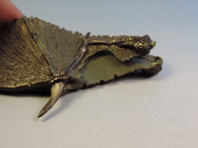 File:Dragon wings 4.jpg