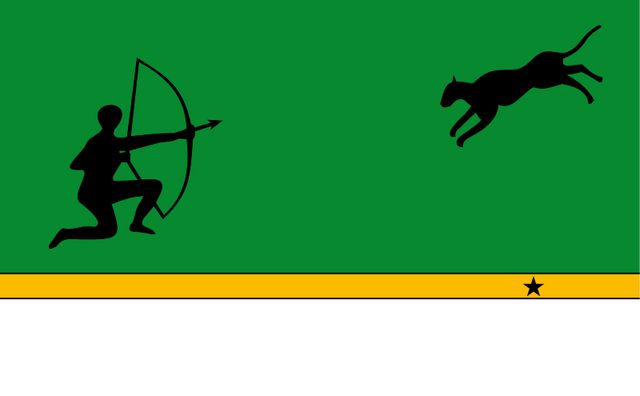 Archivo:Bandera Amazonas.png