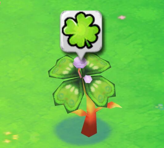 File:Clovertree1harvest.jpg