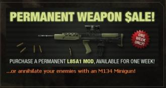 File:LEWeapon.jpg