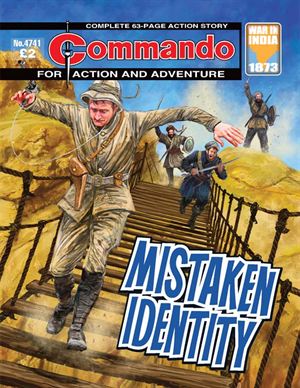 4741 mistaken identity