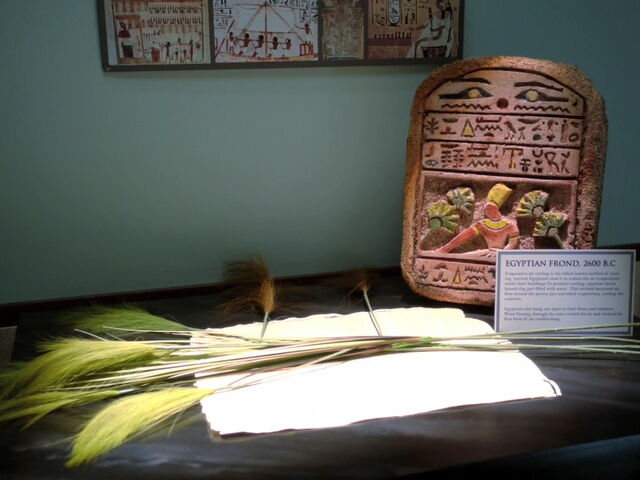 File:3x06-Palm fronds.jpg