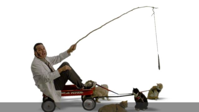 File:Star-Burns Cat Car.jpg