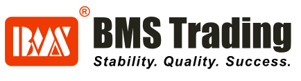 Файл:Logo bms 0.gif