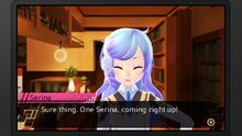 Serina cafe