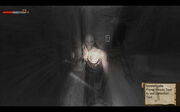 9 Attic