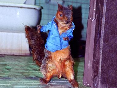 File:Realconka.jpg