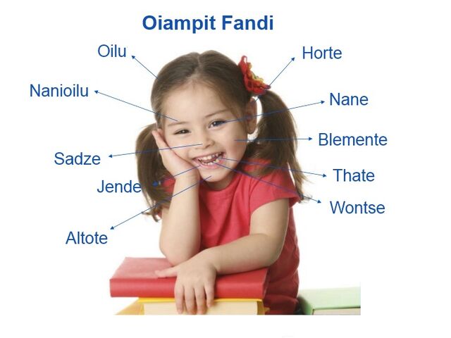 File:Parts of face.jpg