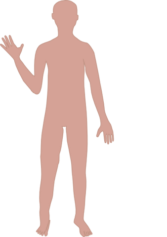 File:Body.png