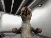 Imagescp-173