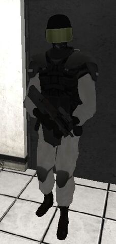 File:Intro Guard.jpg