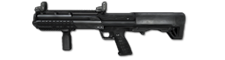Ksg.png
