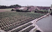 Mukden collective farm