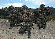220px-Turkish troops