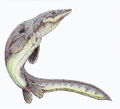 Thumbnail for version as of 15:59, December 15, 2011