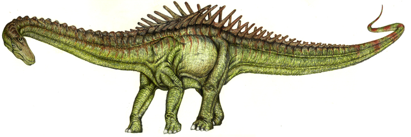 long neck dinosaur with spikes on its back