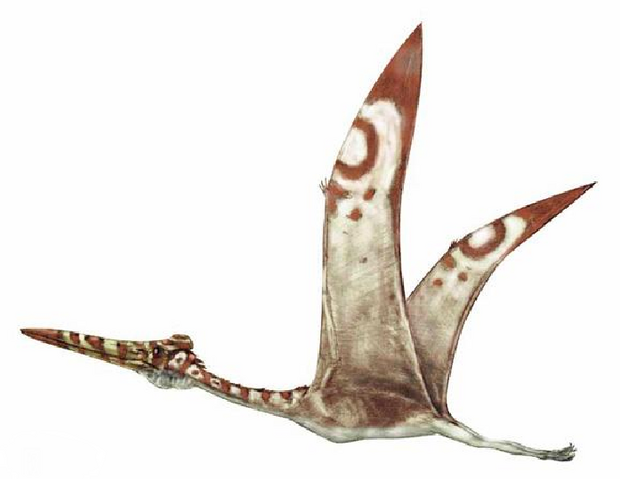File:Hatzegopteryx.png
