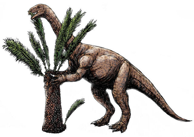 File:800px-Unaysaurus.jpg
