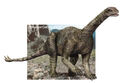 Thumbnail for version as of 19:46, November 20, 2011