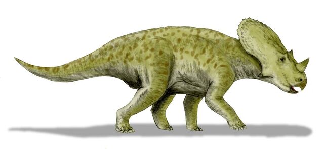 File:Brachyceratops-Nobu-Tamura.jpg