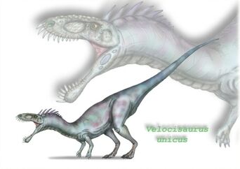 Ezequiel.vera.velocisaurus.unicus.final