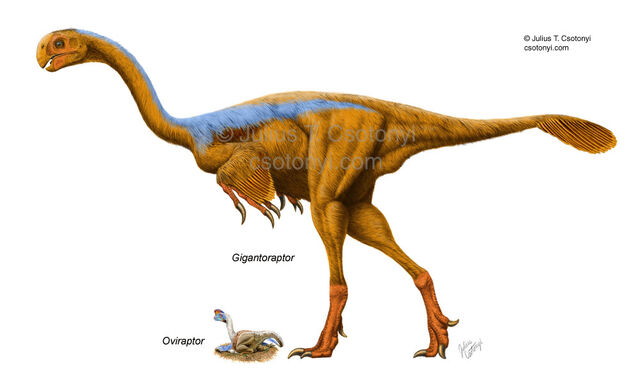 File:Gigantoraptor erlianensis.jpg
