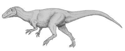 800px-Magnosaurus